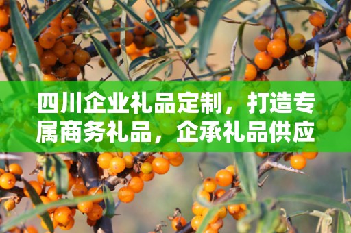 四川企业礼品定制，打造专属商务礼品，企承礼品供应链助力企业福利升级