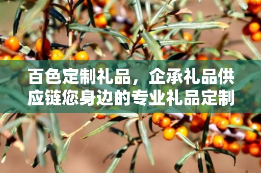 百色定制礼品，企承礼品供应链您身边的专业礼品定制公司