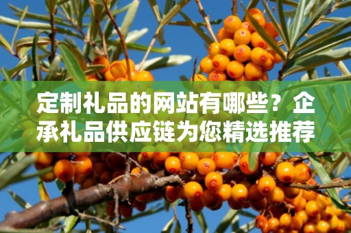 定制礼品的网站有哪些？企承礼品供应链为您精选推荐