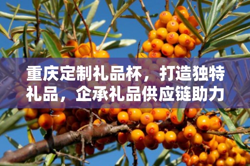 重庆定制礼品杯，打造独特礼品，企承礼品供应链助力商务推广
